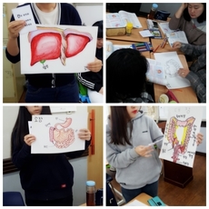 해부학 수업중에 