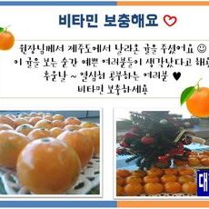 비타민 보충해요 :)
