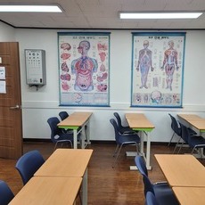 대한간호학원 실습실  인체해부도