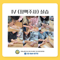 IV 정맥주사실습